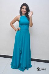 Priya Singh at Manasainodu Movie Audio Launch